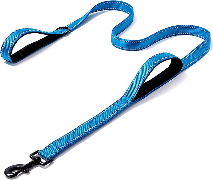 Heavy Duty Dog Leash - 2 Handles by Padded Traffic Handle for Extra Control, 6foot Long - Perfect for Medium to Large Dogs (Dark Blue, 6 ft)