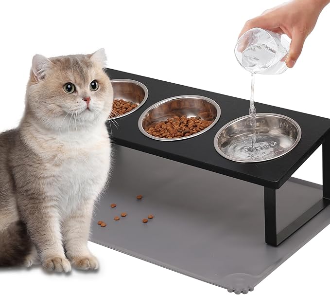 Upgraded Elevated Cat Bowls with Food Mat,15°Tilted Stand Anti Vomiting Raised Cat Dishes for Food and Water,3 Stainless Steel Bowls for Cats and Puppy（Black）