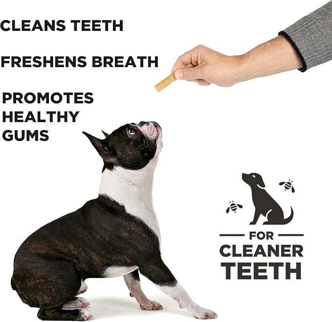 Natural Dental Chew Stick Treats for Small Dogs - Healthy, Non-GMO Project Verified, Peanut Butter Vegetarian Chews, Made in The USA (Chew Sticks, Small Breeds), Cleans Teeth and Freshens Breath