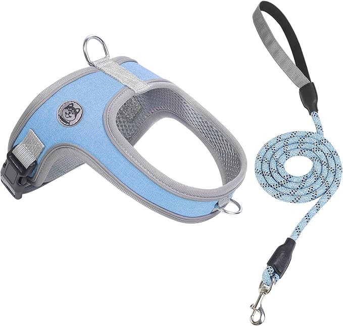 Dog Harness and Leash Set, No Pull Saddle Style Pet Harness, Breathable Mesh Adjustable Reflective Dog Vest for Dogs and Cat Medium Small Harness 2 D-Rings (Blue, XS)