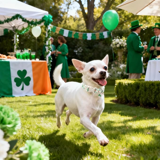 DOGWONG St Patrick's Dog Collar, Green Clover Pet Collar Cotton Flower Shamrock Pet Collar Cute Puppy Collar Adjustable Pet Dog Collars for Large Dogs,XL