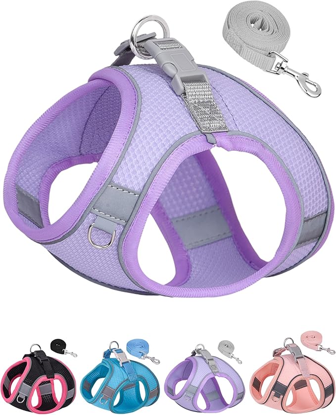 Dog Harness for Small Medium Sized Dog, Step in Puppy Harness and Leash Set Training Walking. (Purple, XS)