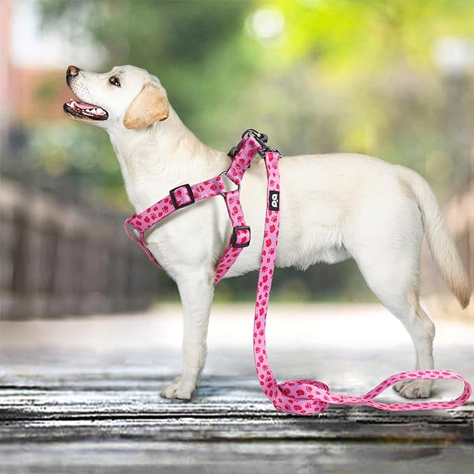 QQPETS Dog Harness Leash Set Adjustable Heavy Duty No Pull Halter Harnesses for Small Medium Large Breed Dogs Back Clip Anti-Twist Perfect for Walking