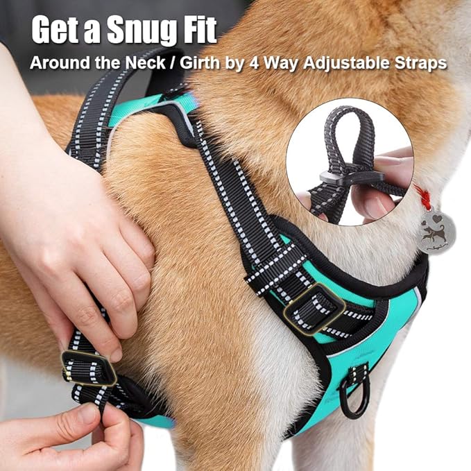 PoyPet No Pull Dog Harness, Reflective Comfortable Vest Harness with Front & Back 2 Leash Attachments and Easy Control Handle Adjustable Soft Padded Pet Vest for Small Medium Large Dogs (Mint Blue,M)