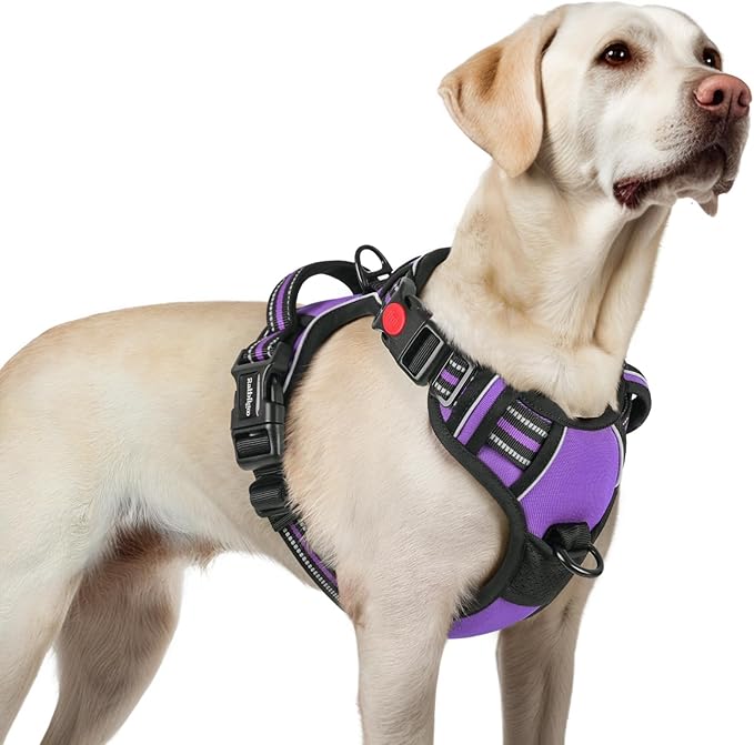rabbitgoo Dog Harness for Large, No Pull Pet Harness with 3 Buckles, Adjustable Soft Padded Vest with Control Handle, Walking Reflective Pet Vest for Large Dogs, Purple, L