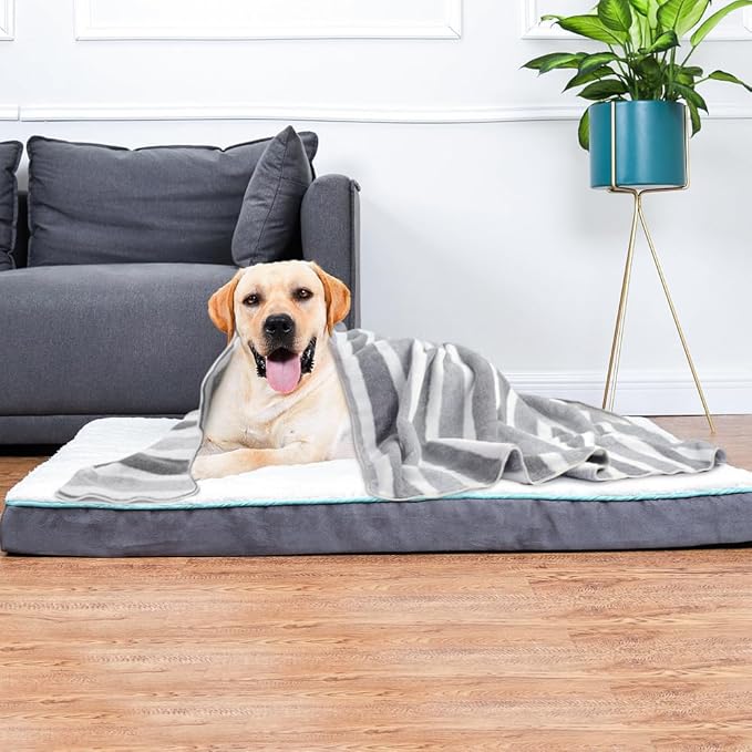 KinHwa Dog Towel Super Absorbent Pet Bath Towel Microfiber Dog Drying Towel for Small, Medium, Large Dogs and Cats 30inch x 50inch 1 Pack Light-Gray