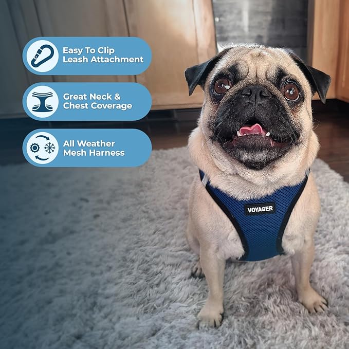 Best Pet Supplies - All Weather Mesh / Plush, Reflective, No Pull Harness for Small, Medium Dogs, Cats - Secure with Hook & Loop Fastener, Buckle, Double D-Rings - Blue/Black Trim, L