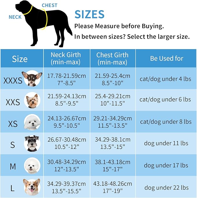 AIITLE Dog Harness and Leash Set - Ultra-Comfortable XXS-XL Vest with Strong Magic Tape & Glow-in-Dark Reflective Strips, Chafe-Free for Teddy, Schnauzer (Blue-Pink, M)