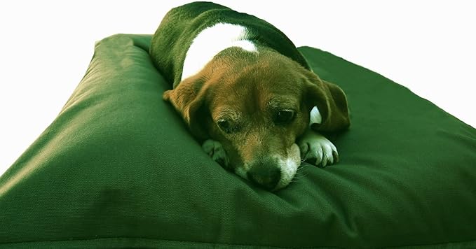 Dogbed4less Do It Yourself DIY Pet Bed Pillow Duvet Canvas Cover + Waterproof Internal case for Dog/Cat at Large 48"X29" Olive Green Color - Covers only