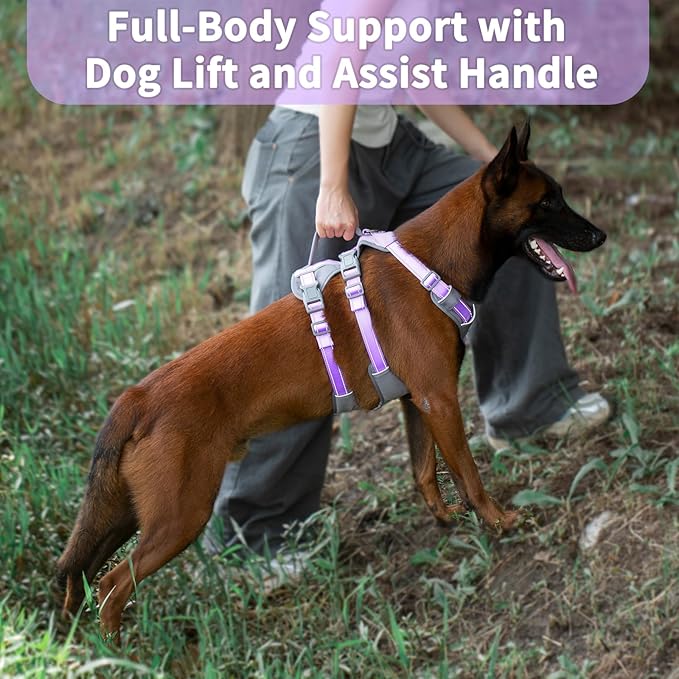 Huntboo Reflective Dog Harness with Handle, Escape Proof, No Slip, Breathable, Lightweight,Adjustable Lift Harness for Small, Medium,and Large Dogs Walking,Training,and Running Gear(Lavender Purple,L)