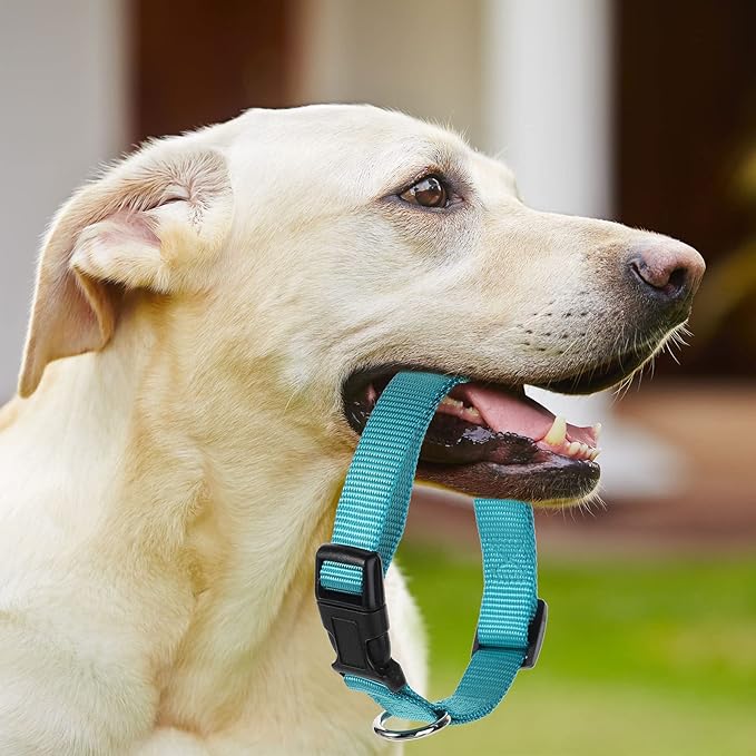 9 Pieces Adjustable Dog Collar for Animal, Soft Nylon Pets Puppy Collar with Quick Release Buckle Holder Bulk for Dogs Walking Running Training(Medium,Retro Colors)