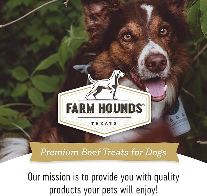 Farm Hounds - Beef Trainers - Premium Natural Beef Jerky for Dogs - Made from 100% Humanely Raised Cattle - Easy-Break - Great for Training & Treats - No Added Fillers - Made in USA - 4.5 oz - 2 Pack