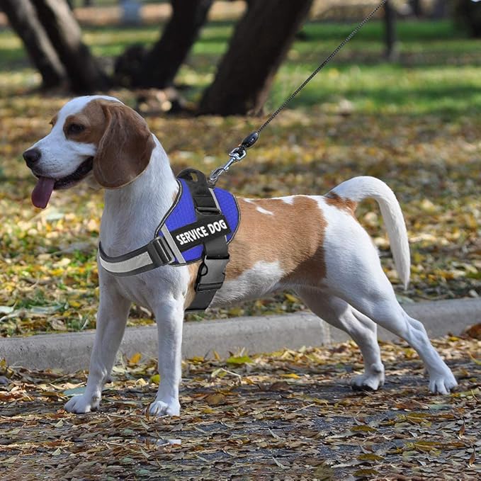 JSXD Dog Harness,No-Pull Service Dog Harness with Handle Adjustable Outdoor Pet Dog Vest 3M Reflective Nylon Material Vest for Breeds,Easy Control for Small Medium Large Dogs