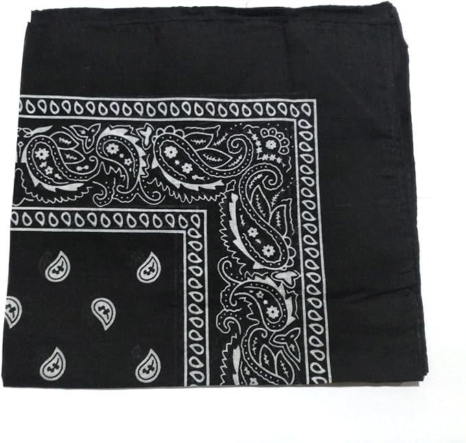 combocube 12 Pack(one Dozen) Multi-Purpose Cotton Paisley Cowboy Bandanas Headband for Men and Women