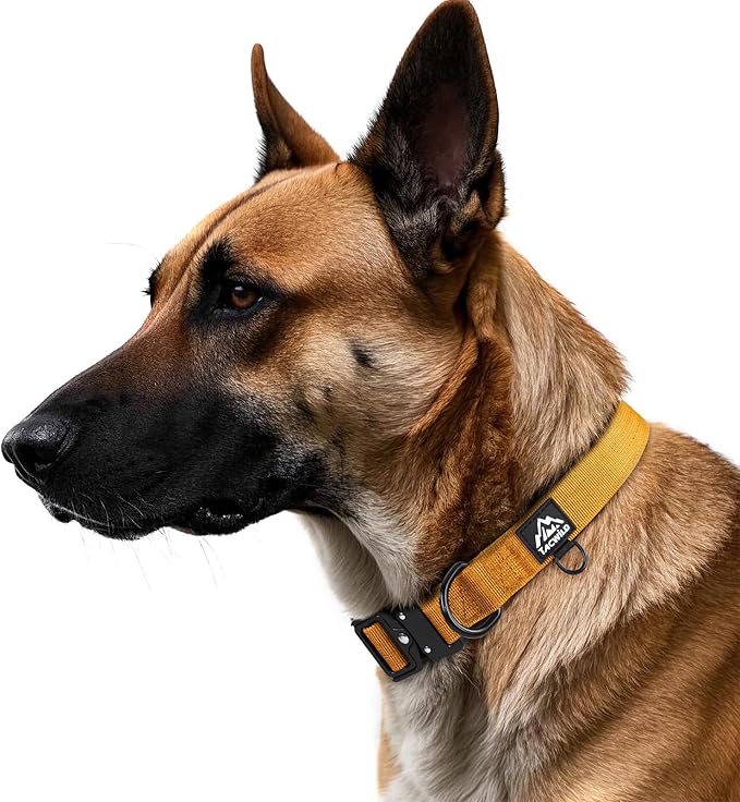 Dog Collar for Large Dogs - Adjustable, Chew Proof Nylon Collar with Metal Quick Release Buckle and D-Ring for Dog Tags (Turmeric Yellow)