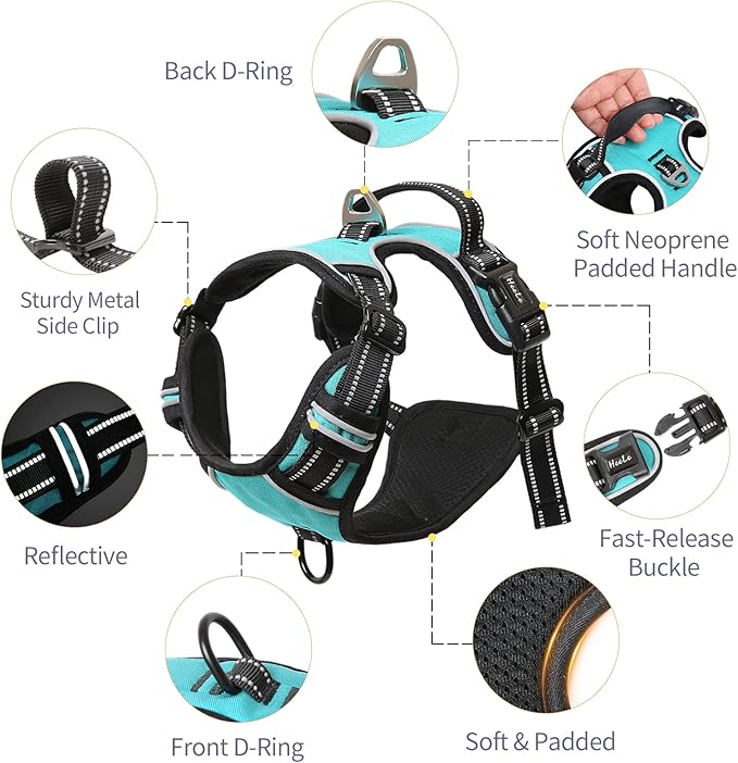 HEELE Dog Harness, No Pull Adjustable Padded Reflective Harness for Small Medium Large Dogs with Handle for Walking Training, Turquoise, XL