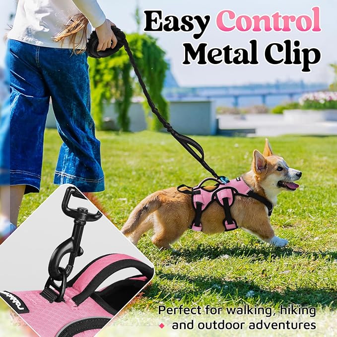 rabbitgoo Escape Proof Dog Harness Small Sized Dog, Soft Padded Full Body Pet Harness, Reflective Adjustable Vest with Lift Handle and Leash Clip for Walking Hiking Training, Light Pink, S