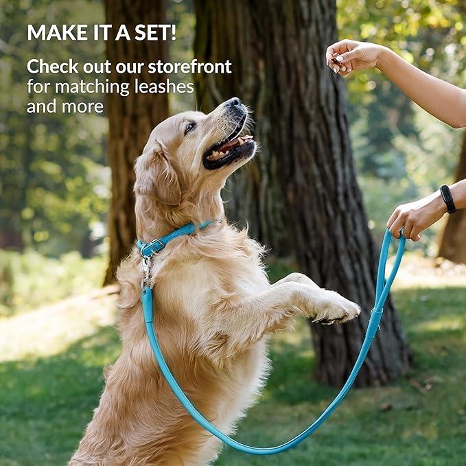CollarDirect Rolled Leather Dog Collar, Soft Padded Round Puppy Collar, Handmade Genuine Leather Collar Dog Small Large Cat Collars 13 Colors (15-19 Inch, Light Blue)