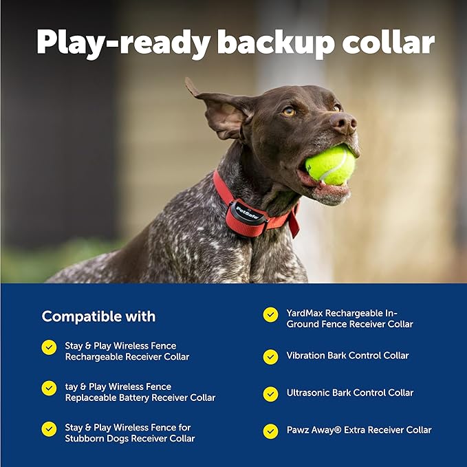PetSafe 3/4" Rust Replacement Collar Strap with No Holes - Adjustable Strap - Durable Nylon Design - Quick-Snap Buckle - Compatible with Wireless Fence & Bark Collars - 30" - Rust Red