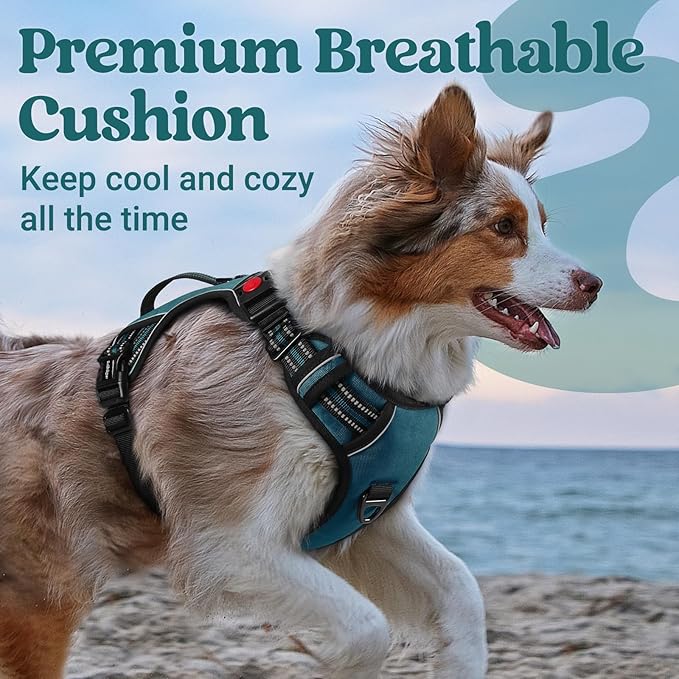 rabbitgoo Dog Harness for Large Dogs, No Pull Pet Harness with Soft Padded Handle, Adjustable Reflective Vest with 3 Buckles, Easy Walking Harness with 2 Leash Clips, Green, L