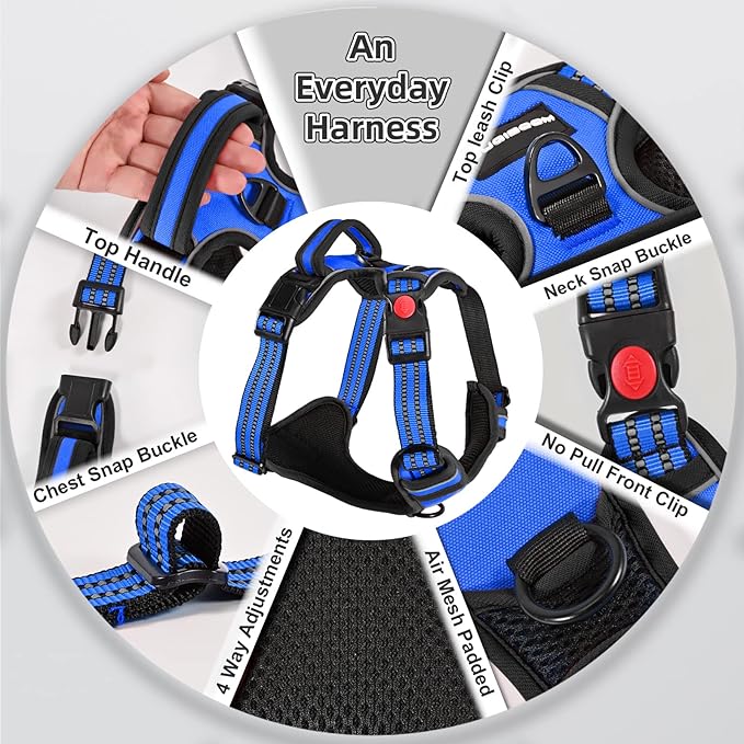 No Pull Dog Harness with A Free Heavy Duty 5ft Dog Leash, Adjustable Soft Padded Dog Vest, Reflective No-Choke Pet Oxford Vest with Easy Control Handle for Small and Large Dogs (Blue, Medium)