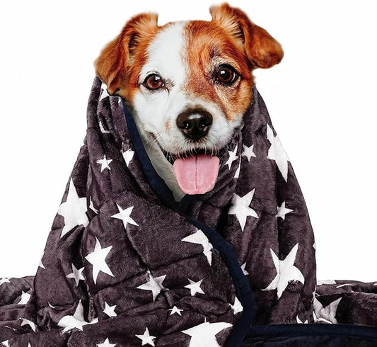 LaSyL Weighted Blanket for Pets | Thunder Blanket for Dogs Anxiety | Premium Soft Minky | Relaxation & Calming & Anti Anxiety | Blue Grey Star, Washable Small 24" L x 32"