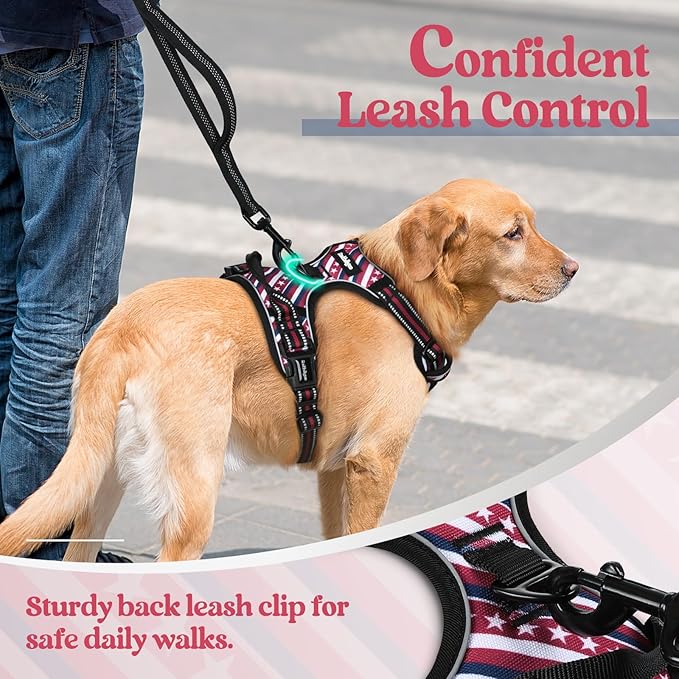 rabbitgoo Dog Harness No Pull with 2 Leash Clips, Adjustable Soft Padded, Reflective Oxford No Choke Pet Vest with Easy Control Handle for Large Dogs, Red Stripe, M