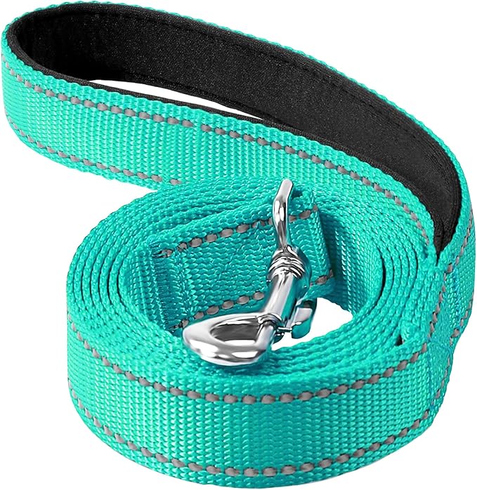 Reflective Dog Leash 4ft Soft Padded Handle Nylon Lead for Small & Medium Dogs, Durable Walking Training Leash for Night Safety (Turquoise,1Inch Wide)