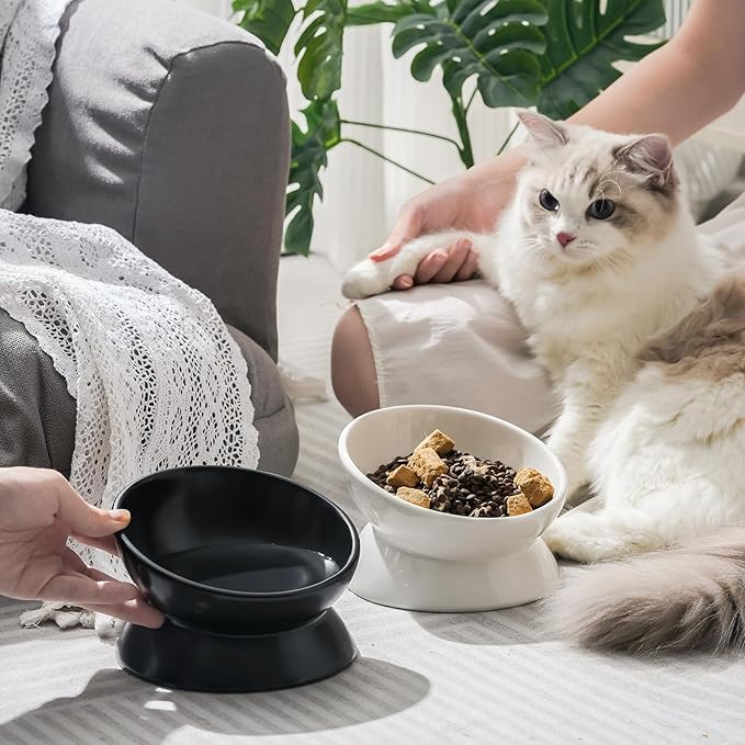 YauYik Ceramic Raised Cat Bowl - Cat Food Bowl Elevated Tilted for Short Leg Cats and Small Dogs - 6 Inches Whisker Friendly Pet Bowl Dish, Reduce Neck Burden Feeding Bowl, Black, 10 Oz