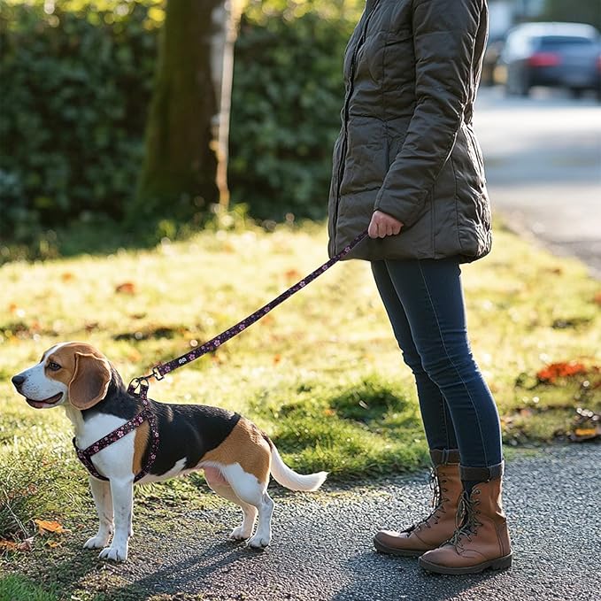 QQPETS Dog Harness Leash Set Adjustable Heavy Duty No Pull Halter Harnesses for Small Medium Large Breed Dogs Back Clip Anti-Twist Perfect for Walking