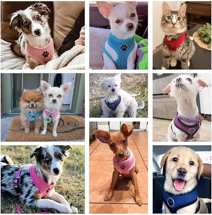 BINGPET Dog Vest Harness -Light Weight Breathable Sports Mesh - Pet Adjustable Harness Puppy Padded Harnesses Dog Vest Harness for Small Dogs
