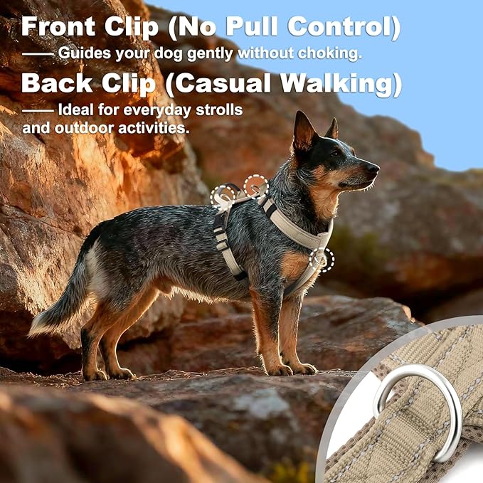 No Pull Dog Harness with Handle, Soft Mesh Padded Adjustable for Small Medium Large Dogs | Reflective Easy Walk Harness with Front Clip for Training, Running & Outdoor (Beige, S)
