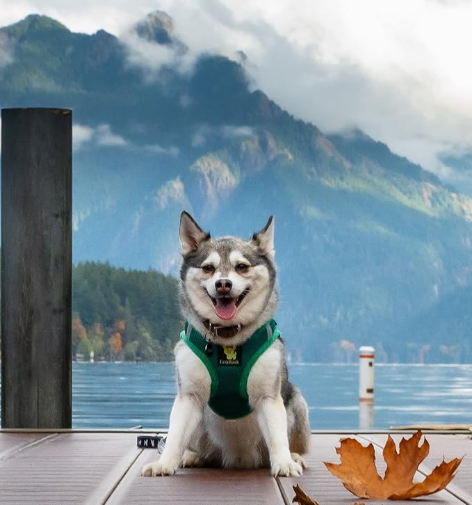 EcoBark Dog Harness - Luxury Step in Mesh Dog Harnesses in Forest Green - Soft & Secure Dog Harness Vest Body Wrap
