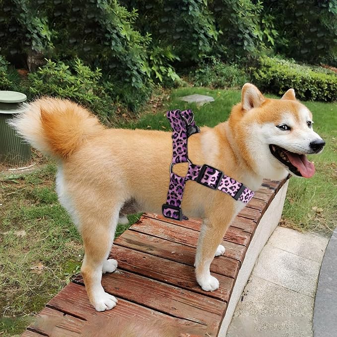 QQPETS Dog Harness Leash Set Adjustable Heavy Duty No Pull Halter Harnesses for Small Medium Large Breed Dogs Back Clip Anti-Twist Perfect for Walking
