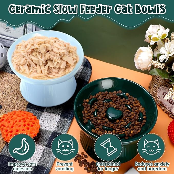 Tioncy 2 Pcs Raised Cat Slow Feeder Bowl Ceramic Elevated Cat Dog Food Bowl No Spill High Edge for Dry Wet Food and Water Easy to Clean, Dishwasher Safe (Dark Green,Blue)