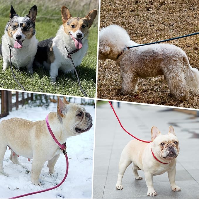 BTINESFUL 7FT Slip Lead Dog Leash, Strong Nylon Rope Leash, 1/4" No Pull Dog Training Lead for Small Medium Dogs