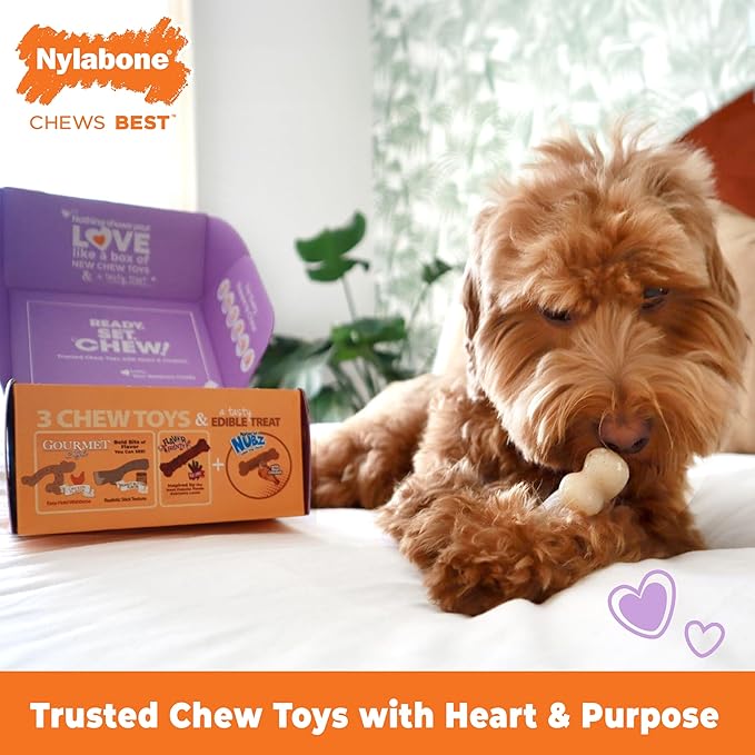 Nylabone Dog Gift Box, Includes 3 Strong Chew Toys and 1 Natural Treat, Gifts for Dogs, Small - Up to 25 lbs, 4 Pack