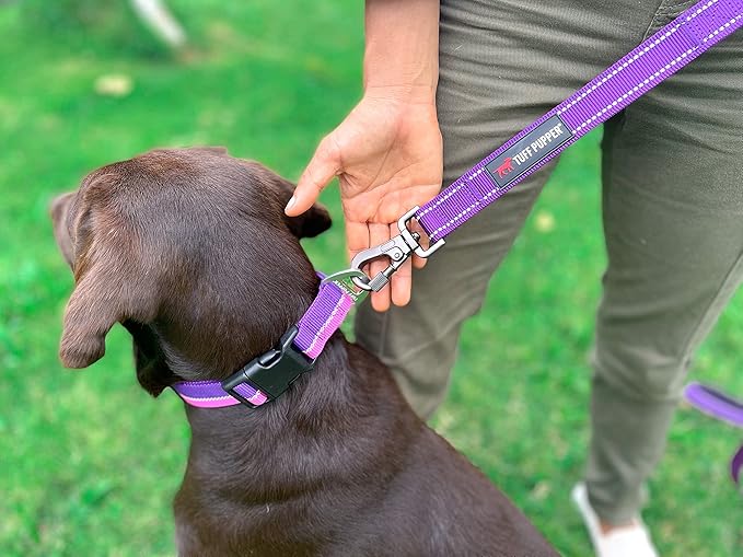 Tuff Pupper Heavy Duty Double Handle Leash | Twist Locking Carabiner Clip | Safety Lock for Strong Dogs | Reflective for Safe Night Walks | 6 Foot Leash | For Medium & Large Dogs