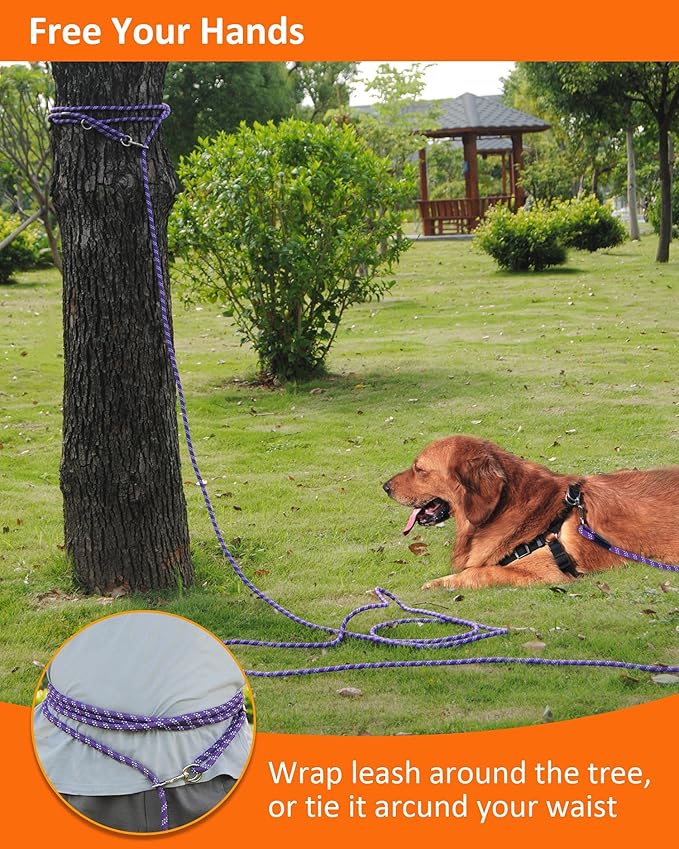 Long Dog Leash for Training - 10FT/16FT/30FT/50FT/100FT, Reflective, Heavy Duty for Large, Medium, Small Dogs - Walking, Playing, Camping, Yard