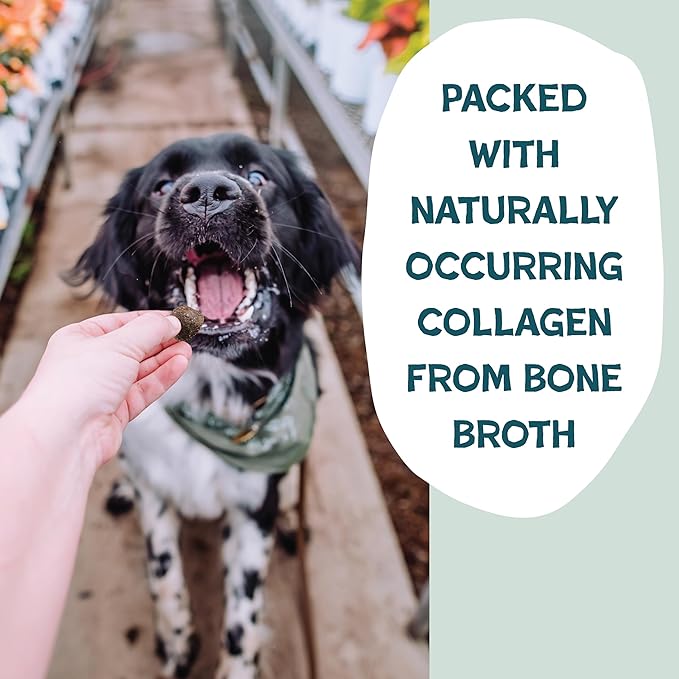 Shameless Pets Bone Broth Dog Training Treats – Soft, Natural Puppy & Dog Treats with Collagen – Healthy, Low-Calorie Training Chews for Small, Medium & Large Dogs - 8 oz (Pack of 1)