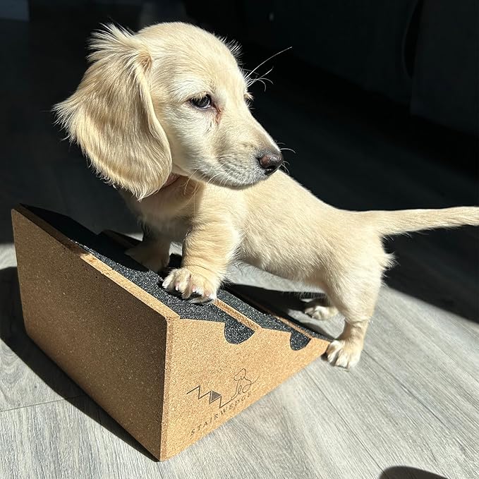 Original StairWedge??- New Enhanced Tread Grip! Ramp for Small Dogs Breeds - Fits Standard Staircase - Wedge Shape Stair Ramp for Dogs and Pets - Multi-Patent Pending (1single)