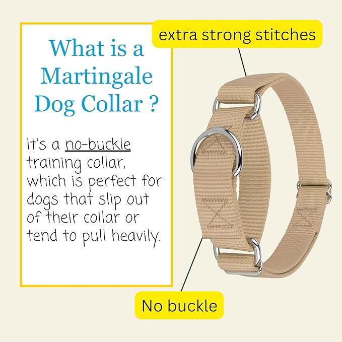Country Brook Petz - Martingale Dog Collar - Heavy-Duty Training Collar with No Buckle - Service Dog Collar for All Pups - 10+ Warm Colors (Copper Gold, 5/8 Inch, Extra Small)