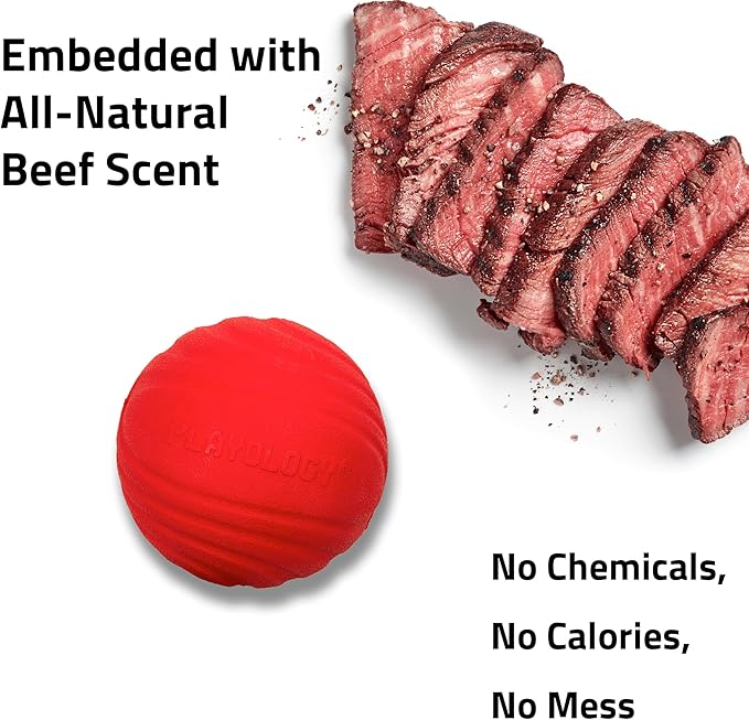 Playology Dog Toys | Dual Layer Ball Durable Chew Toy for Aggressive Chewers | Medium Beef Scented Toy - Easy to Clean and Made from Non Toxic Materials