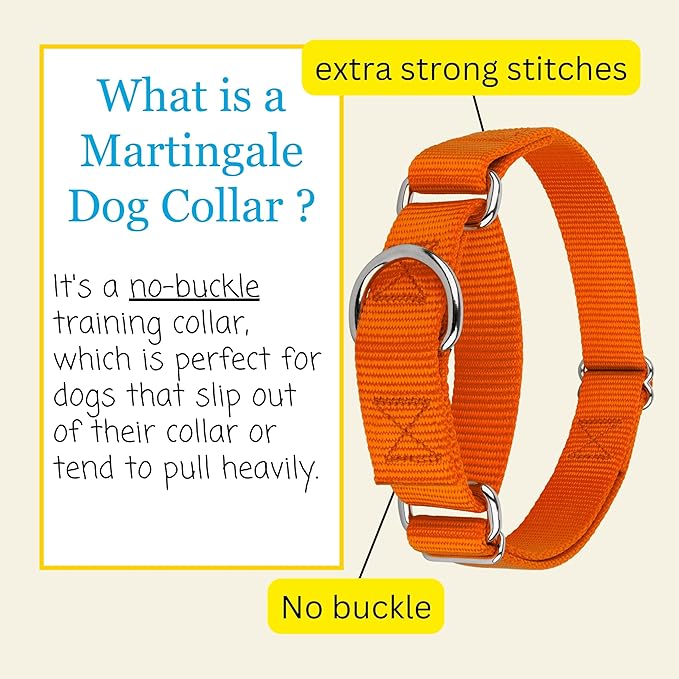 Country Brook Petz - Martingale Dog Collar - Heavy-Duty Training Collar with No Buckle - Service Dog Collar for All Pups - 10+ Warm Colors (Orange, 1 Inch, Medium)