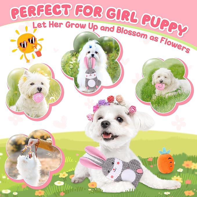 Zeaxuie Pink Puppy Toys for Teething - 9 Pack Small Dog Set With Chew, Squeaky Crinkle, Treat Ball and Interactive Rope for Puppies