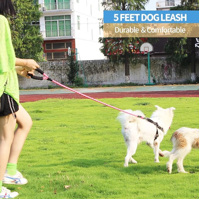 BAAPET 2/4/5/6 FT Dog Leash with Comfortable Padded Handle and Highly Reflective Threads for Small Medium and Large Dogs (5FT-1/2'', Pink)