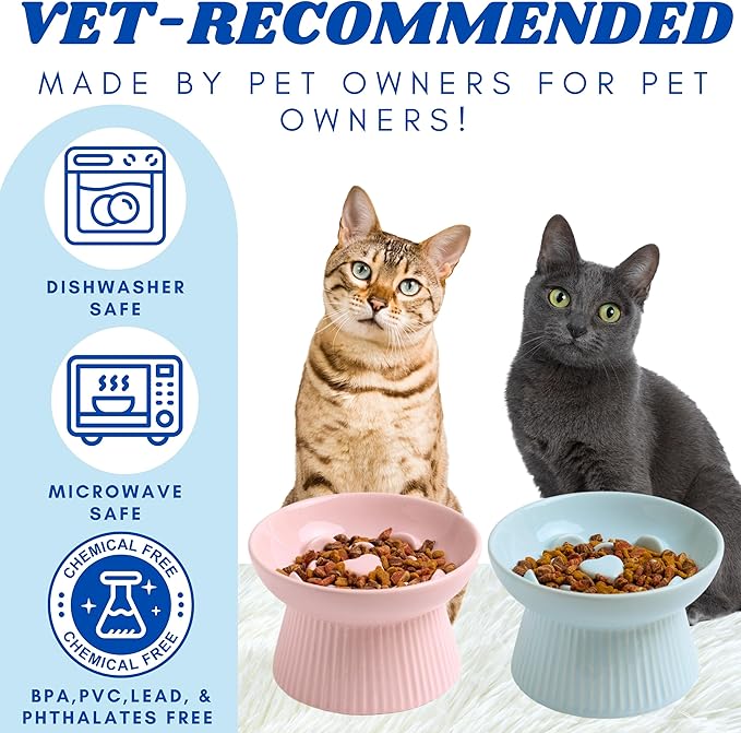 2 Pack Ceramic Slow Feeder Cat Bowl, Raised Puzzle Feeder, Anti-Vomiting, Elevated Food Bowl, Whisker Friendly (Blue, Pink)