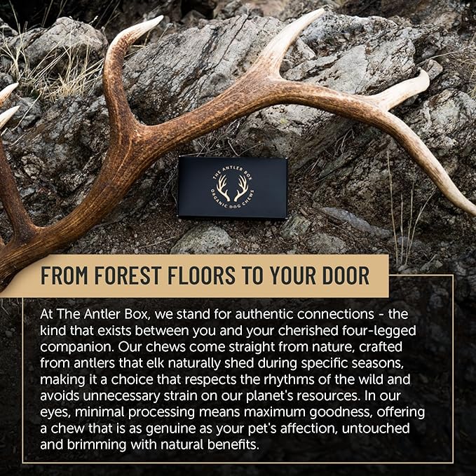 The Antler Box Premium Elk Antler Dog Chews (1 Pound Box) (Large (3 Pieces) Whole Only)