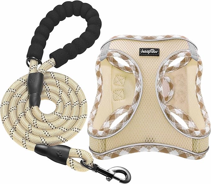 haapaw Dog Harness with Leash Set, No Pull Adjustable Reflective Step-in Puppy Harness with Thickened Padded Vest for Extra-Small/Small Medium Dogs