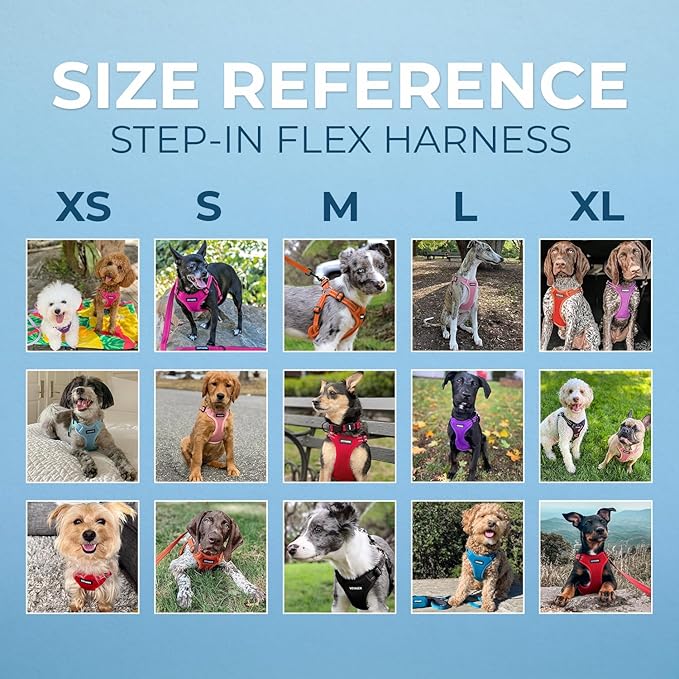 Best Pet Supplies Voyager Adjustable Step-in Flex Breathable Mesh Dog Harness for Small Medium Large Dogs Leash Set (Baby Blue), XS